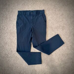 Everlane Performance Chino